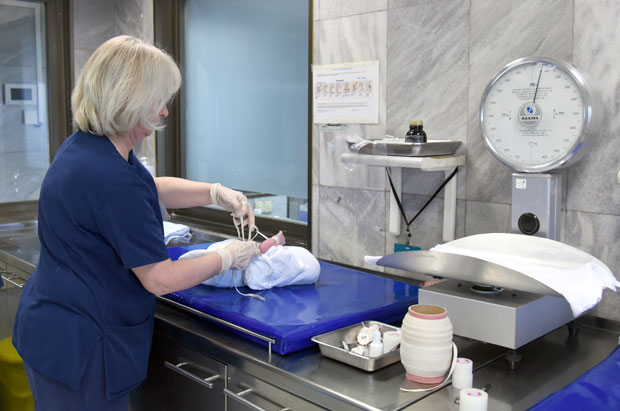 За само пет дана више од 500 беба